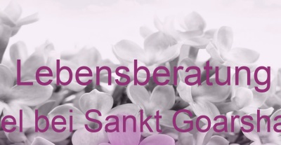 Lebensberatung Weisel bei Sankt Goarshausen | Top-Experten für Kartenlegen, Wahrsagen, Hellsehen, Zukunftsdeutung. Lebensberatung Weisel bei Sankt Goarshausen | Top-Experten für Kartenlegen, Wahrsagen, Hellsehen, Zukunftsdeutung.